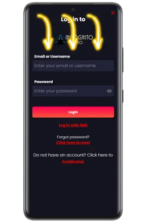 Incognito Casino login with email and password entry
