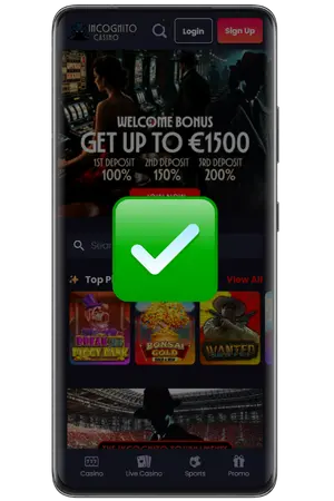 Incognito Casino login successful, user has entered the casino
